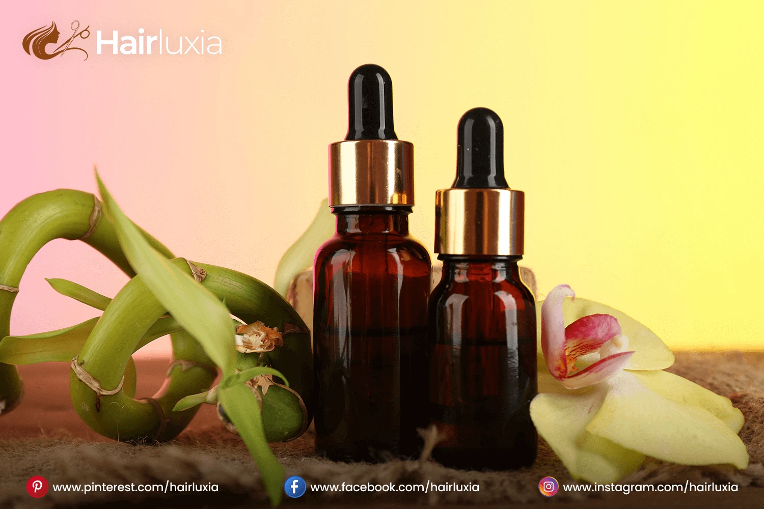 carvenchy products